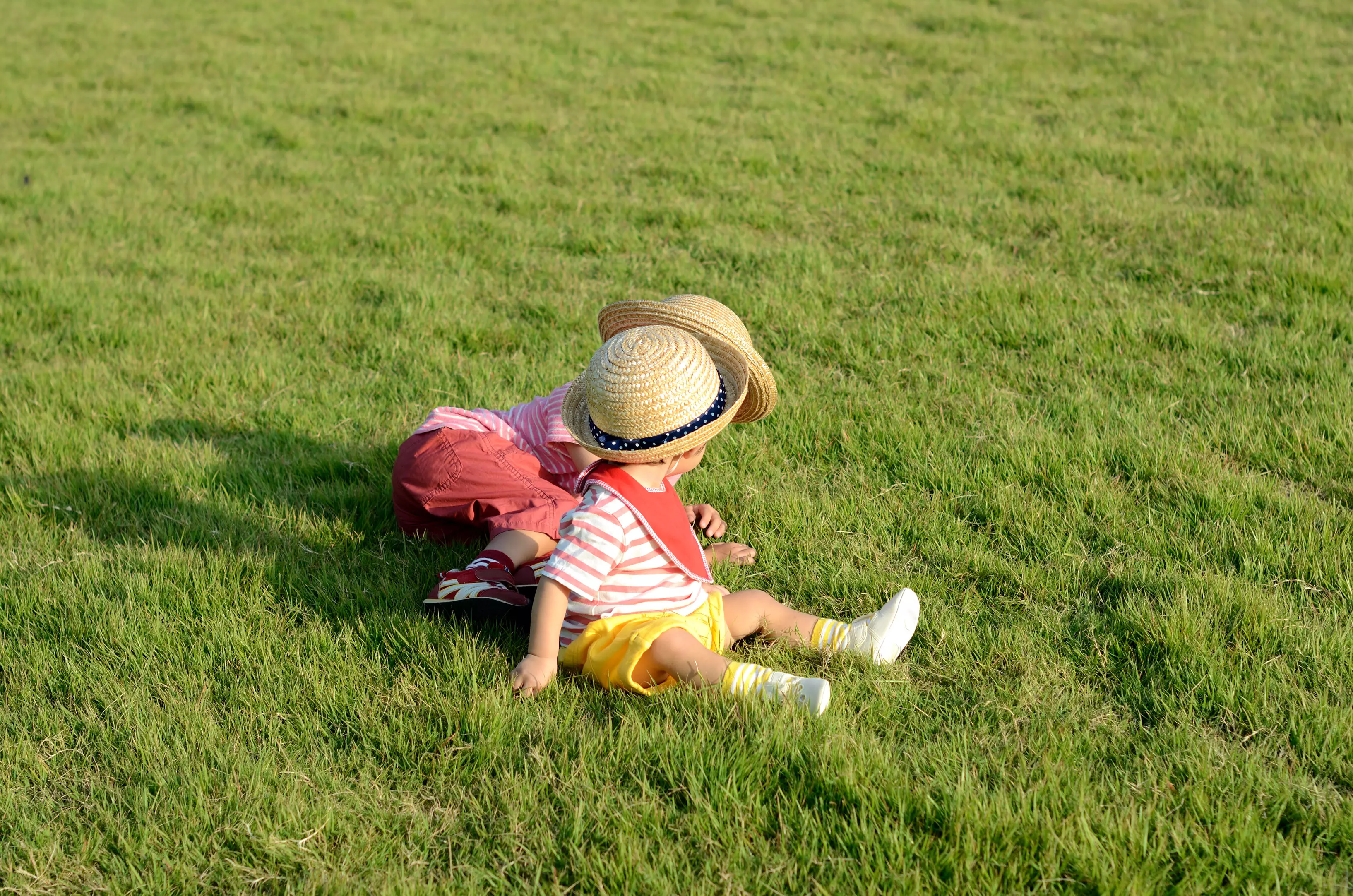 APMジャパン株式会社が契約しているOEM/ODM生産工場の画像